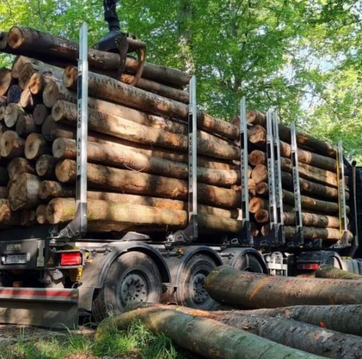 Troncos de madera blanda – Carga completa por camión de 50 metros cúbicos – Certificado PEFC
€505,00