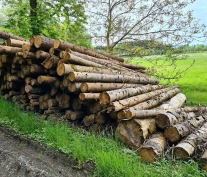 Troncos de abeto – carga completa por camión de 50 metros cúbicos – certificado PEFC
€460,00