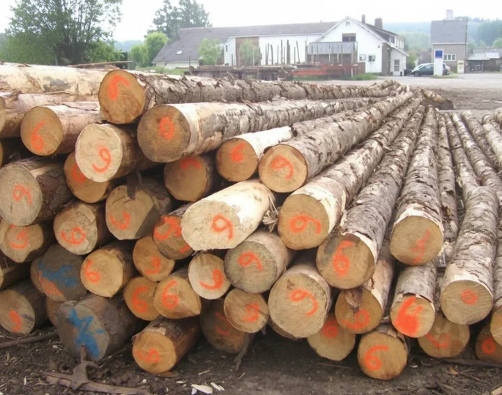 Troncos mixtos de madera dura – Entrega en camión – Certificado PEFC
€589,00